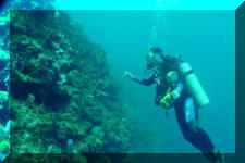 Roatan SCUBA