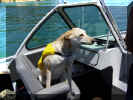 Boat-6143-First-Mate.jpg (149642 bytes)